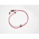 【STUDIO GLAMOR】SG9071005单钻红绳手链（中国仓）